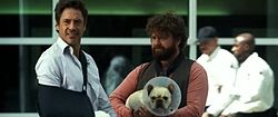 Robert Downey Jr. és Zach Galifianakis