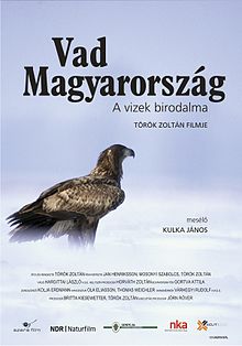 A film plakátja