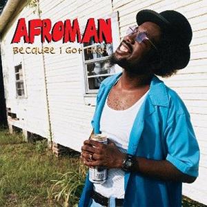 «Because I Got High» սինգլի շապիկը (Afroman, 2001)
