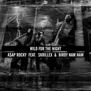 «Wild for the Night» սինգլի շապիկը (ASAP Rocky-ի, Սկրիլեքսի և Birdy Nam Nam, )