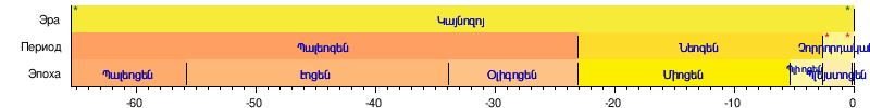 Անտառ