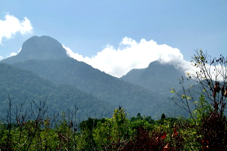 Berkas:Gunung Bawang.jpg