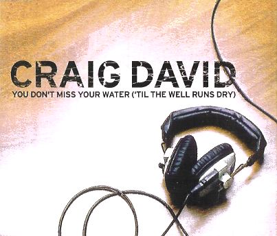 Berkas:Craig David - You Don't Miss Your Water ('Til The Well Runs Dry).jpg