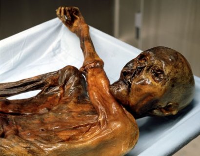 Ötzi - Wikipedia bahasa Indonesia, ensiklopedia bebas