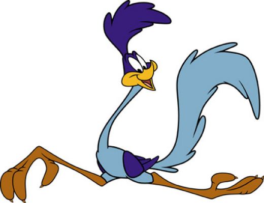 Berkas:Road runner.jpg