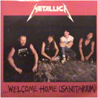 MetallicaWHScover.jpg