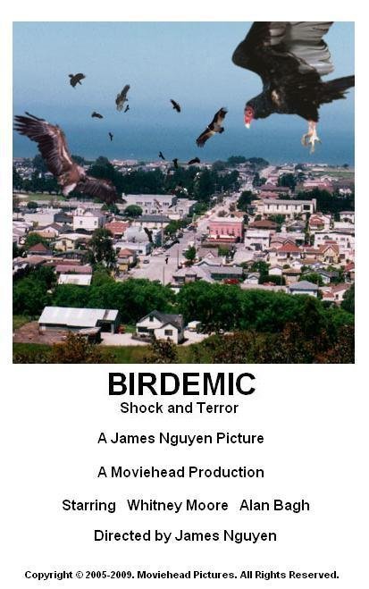 Птицекалипсис. Птицекалипсис 2010. Birdemic: Shock and Terror. Птицекалипсис ШОК И трепет. Птицекалипсис: ШОК И трепет (2010).