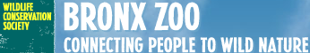 Berkas:Bronx Zoo logo.png