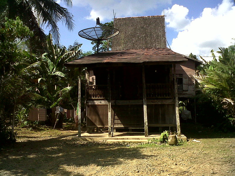 Berkas:Rumah Adat Banjar Tipe Rumah Bubungan Tinggi Desa Tarangan Kabupaten Balangan.jpg