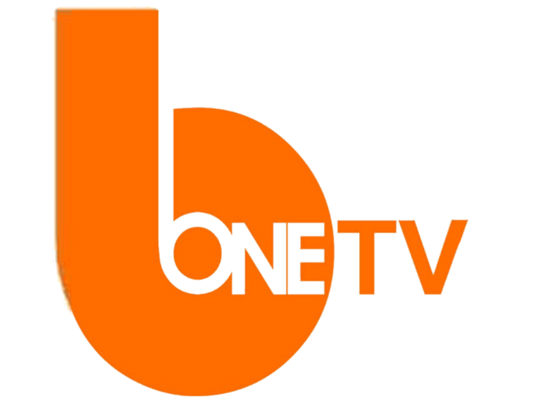 Berkas:B-One TV.png