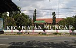 Gambar mini seharga Muncar, Banyuwangi