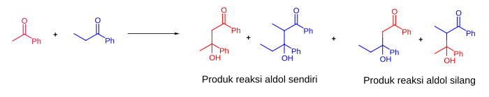 Four possible aldol reaction products