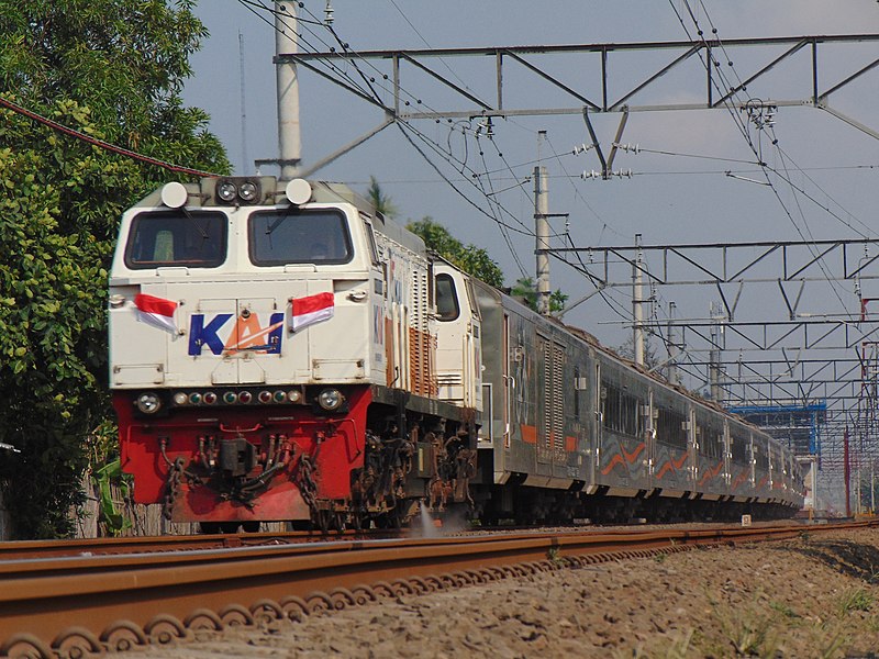 Berkas:Argo Dwipangga Train.jpg