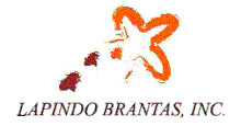 Logo Lapindo Brantas.gif