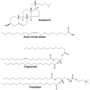 Gambar mini seharga Lipid