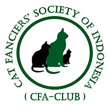 Logo CFSI
