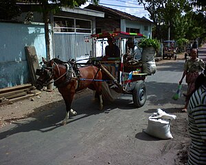 Pulau Lombok: Pembagian administratif, Geografi, Demografi