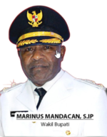 Marinus Mandacan.png