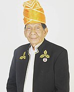 DMA. H. Adjim Arijadi, B.Sc (Bapak Teater Modern Kalsel