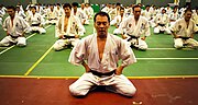 Gambar mini seharga Kyokushin kaikan