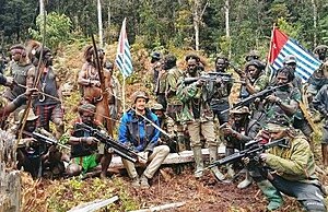 Organisasi Papua Merdeka
