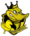 Logo Masolo United FC (2021–sekarang)