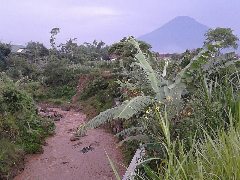 Berkas:Kali Kedu.jpg