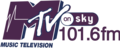 Logo MTV on Sky Jakarta (1 Juli 2000-31 Juli 2004)