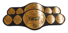 IWGP Tag Team Championship.PNG