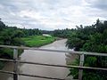 Pemandangan dari Jembatan