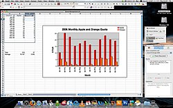 Excel04OSXLeopard.jpg