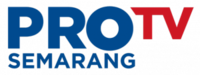 Logo terakhir Pro TV (2011-2015)