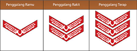 Pramuka Penggalang Wikipedia bahasa Indonesia 