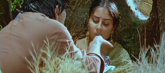 File:Screenshoot.varudu.png