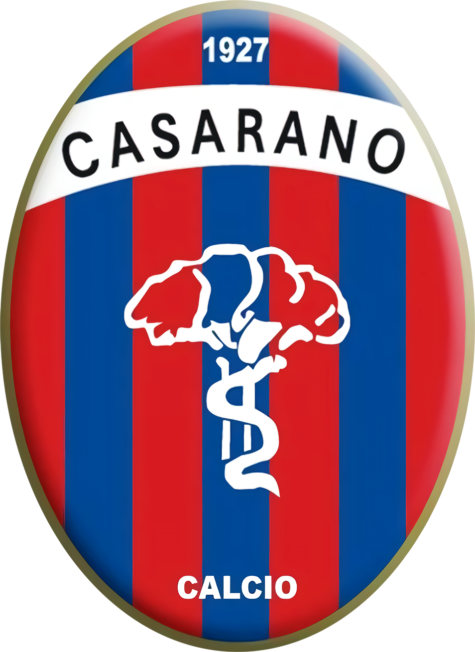 S.S.D. Casarano Calcio httpsuploadwikimediaorgwikipediait116Ste