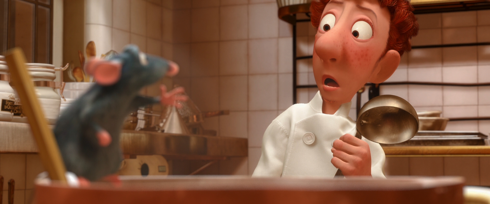 Ratatouille gip.jpg