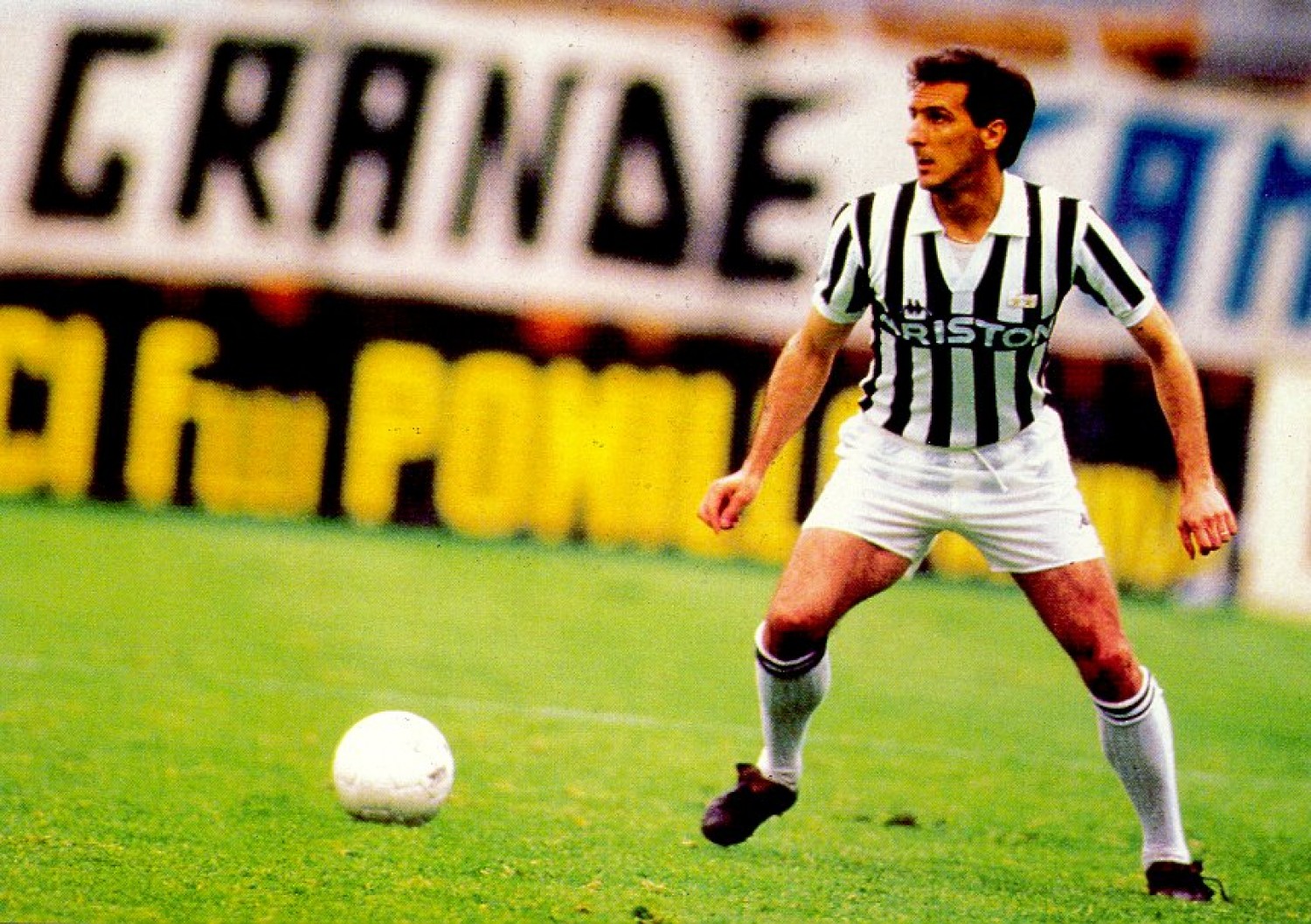 File:Gaetano Scirea - Juventus FC.jpg - Wikipedia