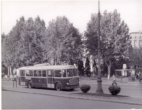 File:Filobus di Alessandria 02.jpeg