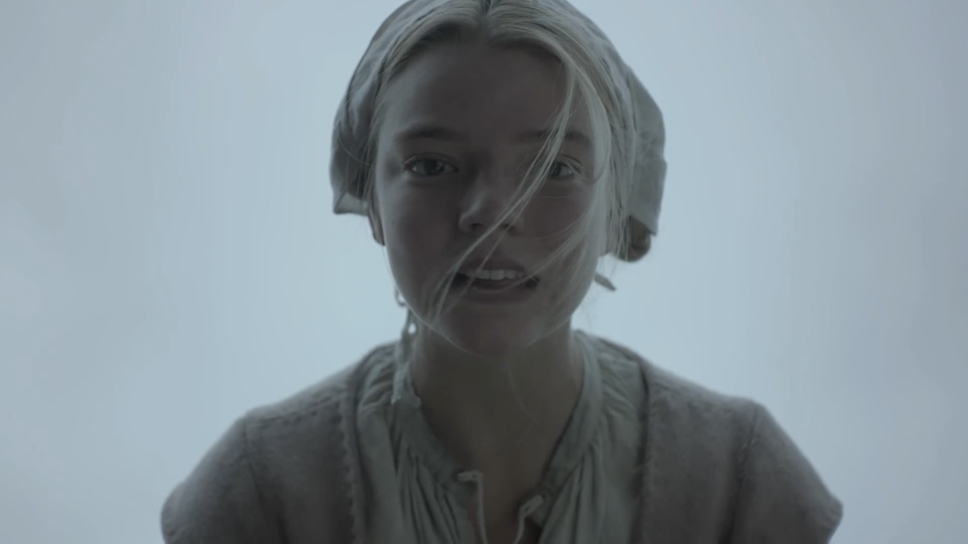 The Witch (film 2015).png