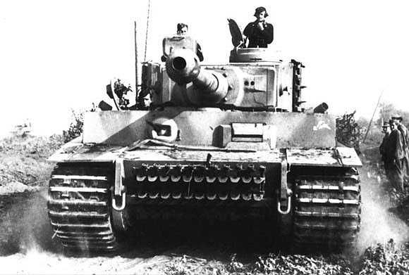 File:Tiger 29 italia.jpg