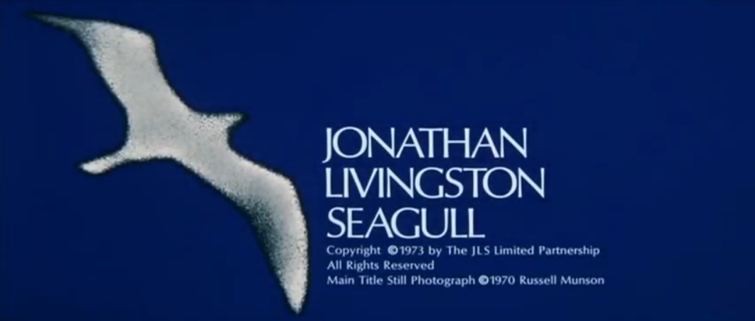 Gabbiano Jonathan Livingston (Il) 