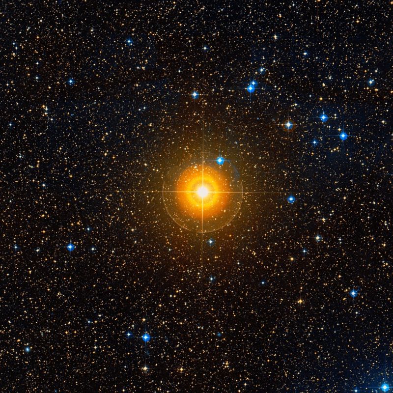 Огромная звезда. Vy canis Majoris звезда. Канис Майорис. Vy Цефея. Гамма Цефея звезда.