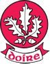 Derry gaa.png