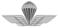 Paracadutista Abilitato al lancio (1966-oggi)