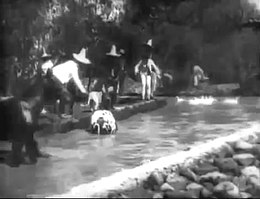 Baignade de chevaux.jpg