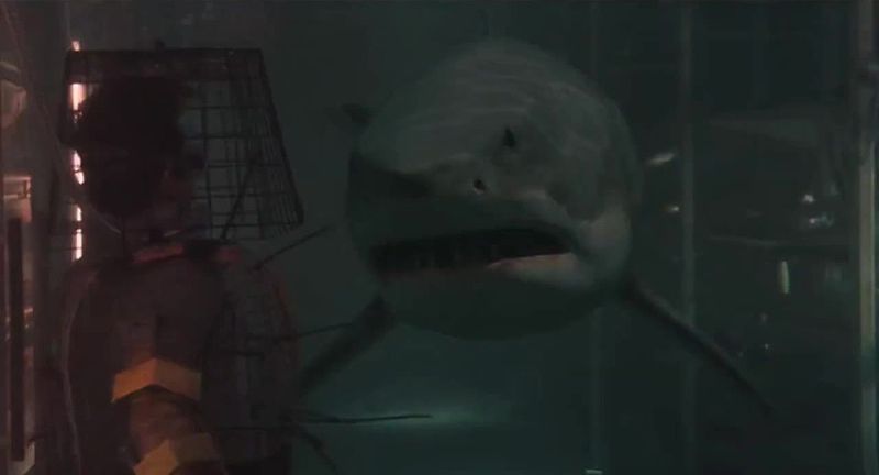 File:Shark3D.jpg