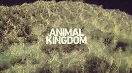 Série télévisée Animal Kingdom.jpg