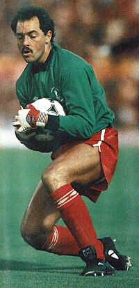 Miniatura per Bruce Grobbelaar