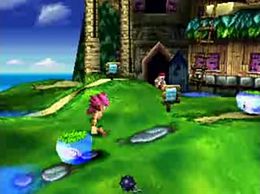 Tombi2.JPG