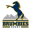 Logo des Brumbies rugby.svg